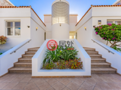 西班牙加那利群岛Santa Cruz de Tenerife的独栋别墅，Adeje，编号77129030