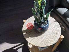 美国德克萨斯州Leander的独栋别墅，1045 Siena Sunset Road，编号77221608