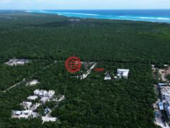 墨西哥金塔纳罗奥图卢姆的公寓，Lote 4 manzana 645，编号76956739