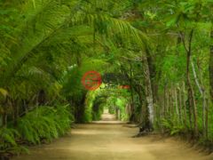 多明尼加赛堡省Miches的独栋别墅，Four Seasons Resort at Tropicalia Playa Esmeralda 4-BR Beach Villa，编号74618848