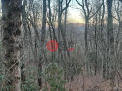 美国北卡罗莱纳州Cullowhee的住宅用地，00 Off Zeb Buchanan Road，编号76750661