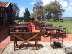 乌拉圭马尔多纳多Punta Ballena的农场，Laguna del Sauce 1354，编号64148335
